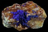 Azurite on Orange Barite - Morocco #57017-1